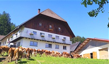 Schwarzwald Bauernhof Fewo Ursprung Peterzell